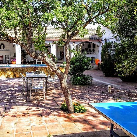 Alojamiento Rural El Cortijuelo Hotel Illora ภายนอก รูปภาพ