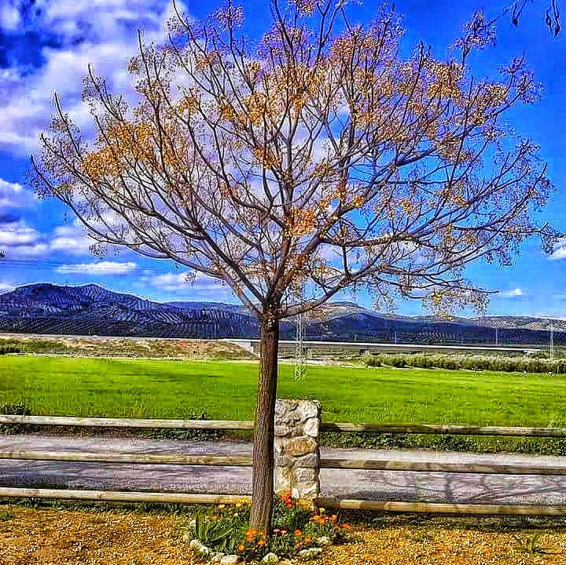 Alojamiento Rural El Cortijuelo Hotel Illora ภายนอก รูปภาพ